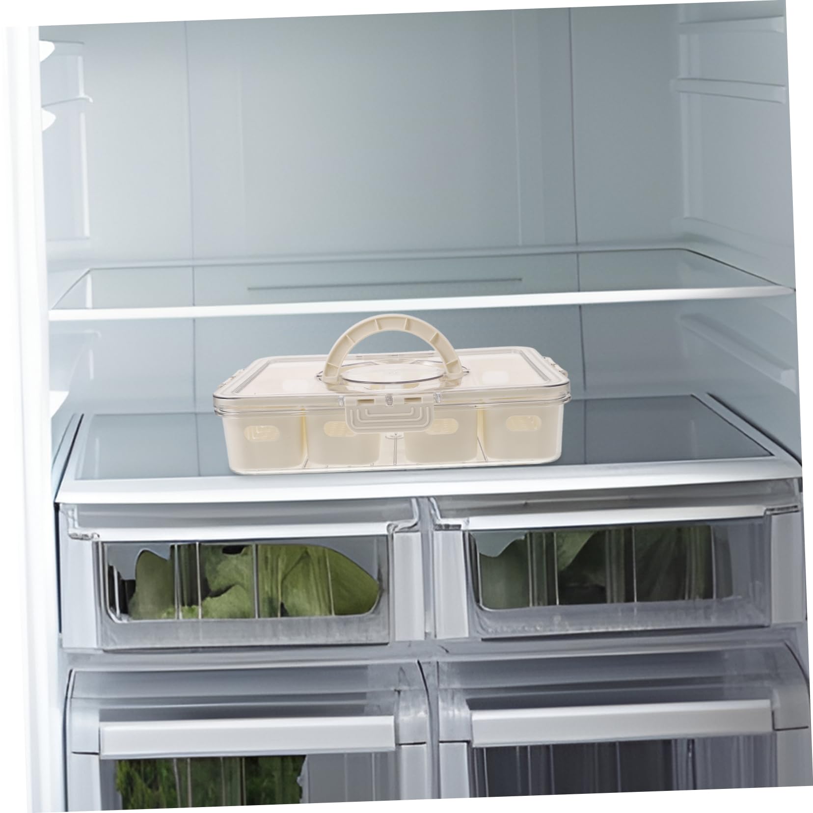 Transparenter Kühlschrankorganizer mit Fächern aus Reusable Pet | Deckel und Griff, Luftdicht Verschließbar, Getrennte Lagerung für Gewürze und Früchte