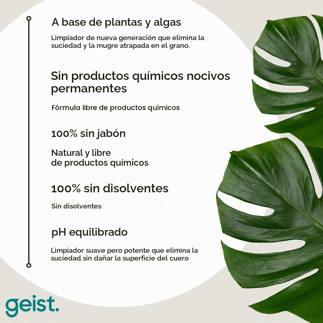 Geist. 3 Plus Care Kit para Cuero y Vinilo | Limpia, Protege contra la Transferencia de Tinte y daños por fricción, Evita Que el Cuero encoja y se agriete | para Piel a Partir de 3 años y Polipiel