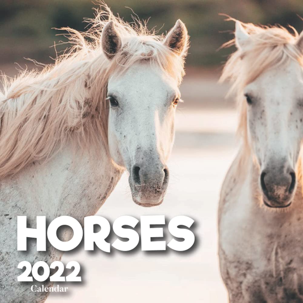 buy-horses-2022-calendar-a-monthly-and-weekly-12-months-wall-calendar