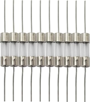 Tegg 10pcs 5x20mm Glass Cartridge Axial Lead Fuse Resistor Insurance Tube Fusible Cutout with Lead Wire 2AMP