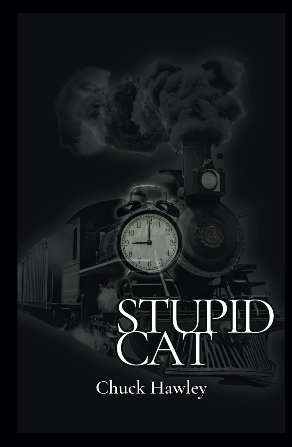 Stupid Cat