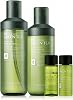 TONYMOLY The Chok Chok Green Tea Moisture Set 2 types of green tea moisture set Parallel import