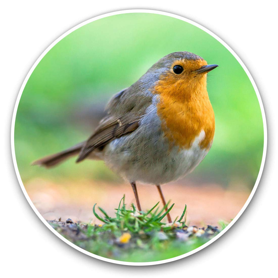 Destination Vinyl Ltd Garden Robin Bird Birds Christmas 15509 Vinyl Stickers (Set Of 2) 7.5Cm - Garden Robin Bird Birds Christmas #15509