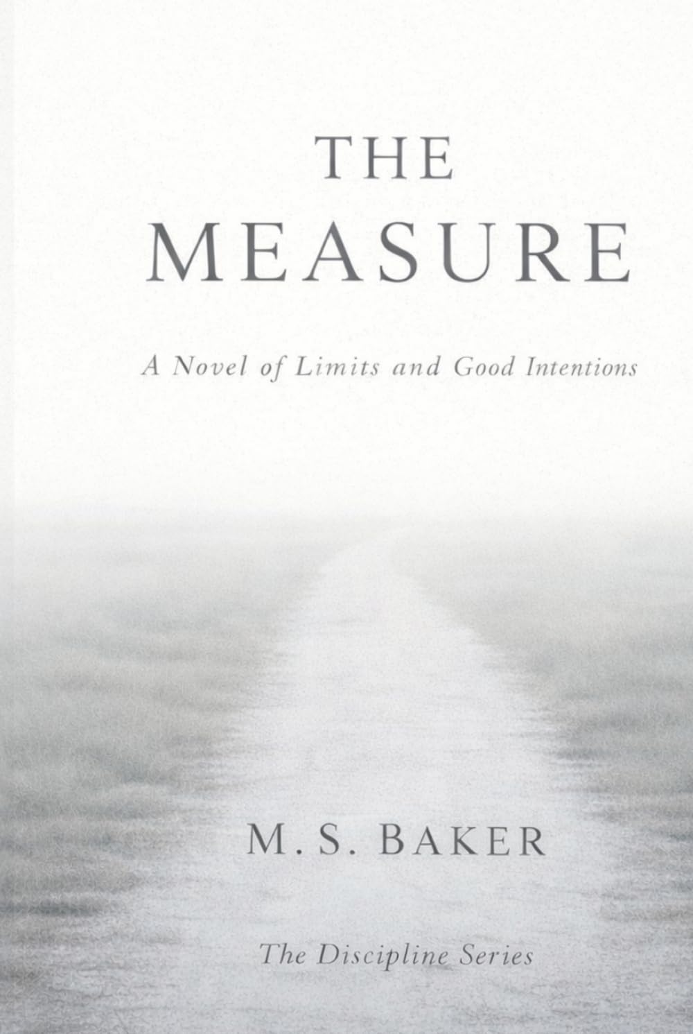 THE MEASURE: A Novel of Limits and Good Intentions (The Discipline Series)