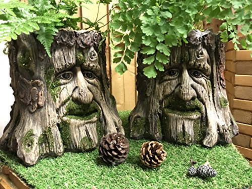 Mans Face Tree Trunk Stump Herb Flower Planter Garden Plant Box Bucket Pot Tub