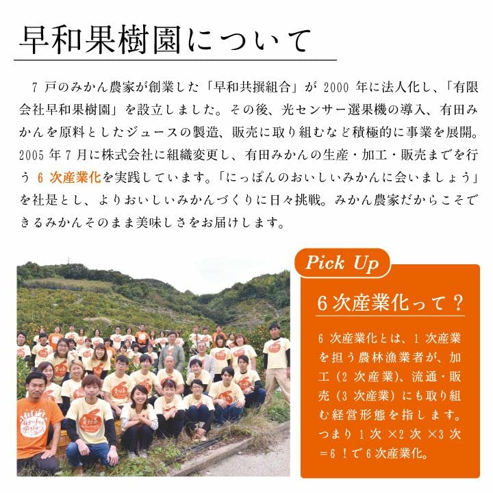 早和果樹園 みかんジュース 100パーセント 飲むみかん 3本入りサムネイル6