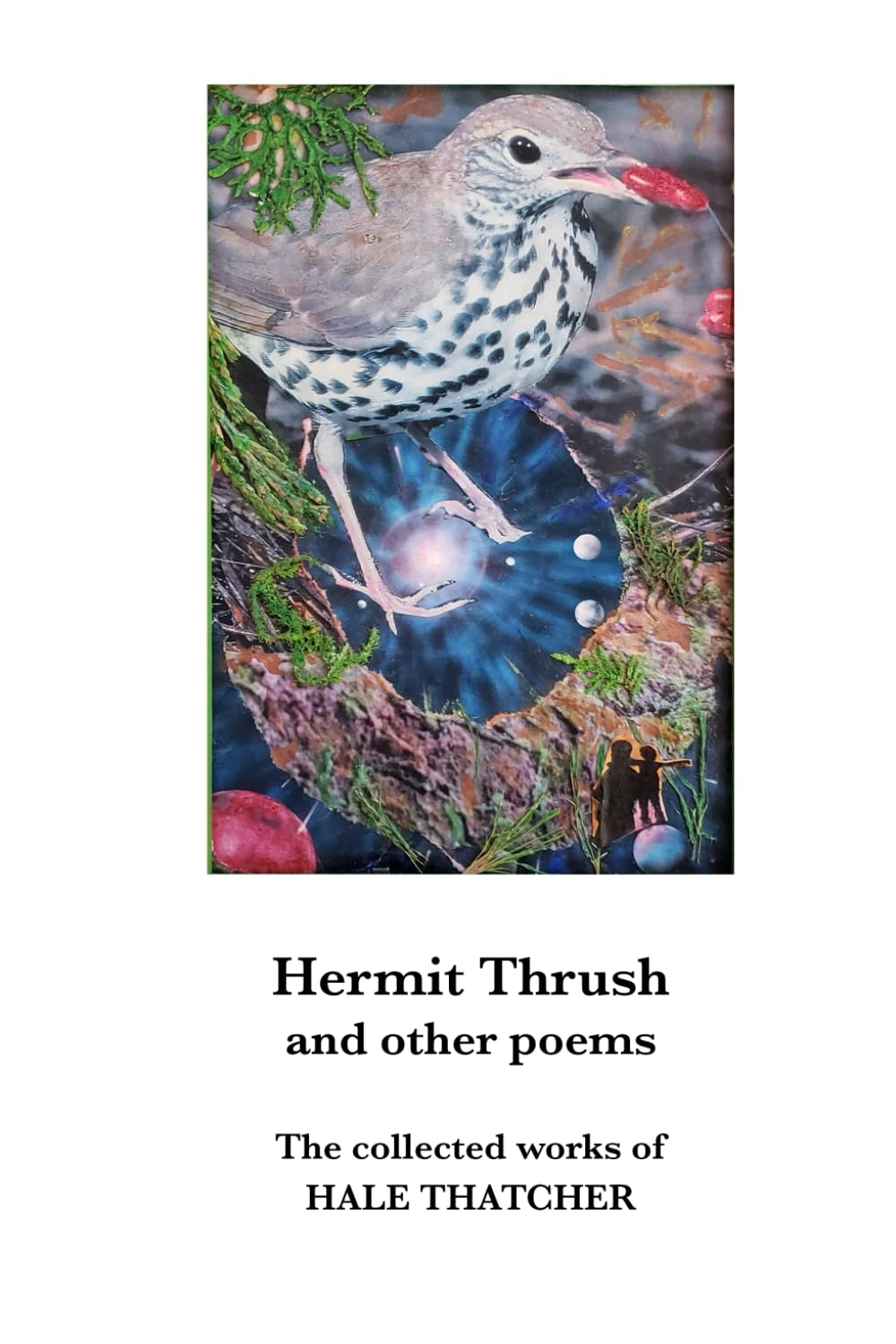 Hermit Thrush: And other poems