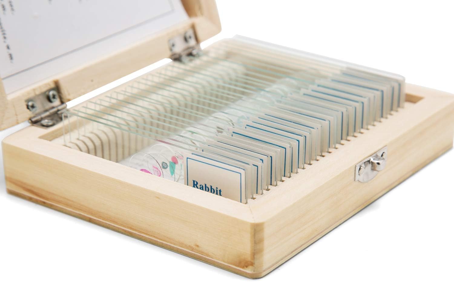 Caja de madera de microscopio óptico de 25 piezas SWIFT para aprender el conjunto experimental de muestras de tejidos de animales y plantas permanentes