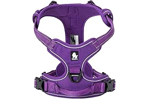 Truelove Yesito Adjustable No-Pull Dog Harness