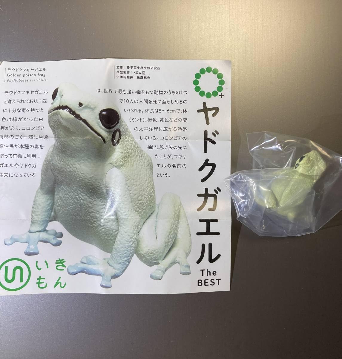 Amazon.co.jp: ネイチャーテクニカラー ヤドクガエル The BEST