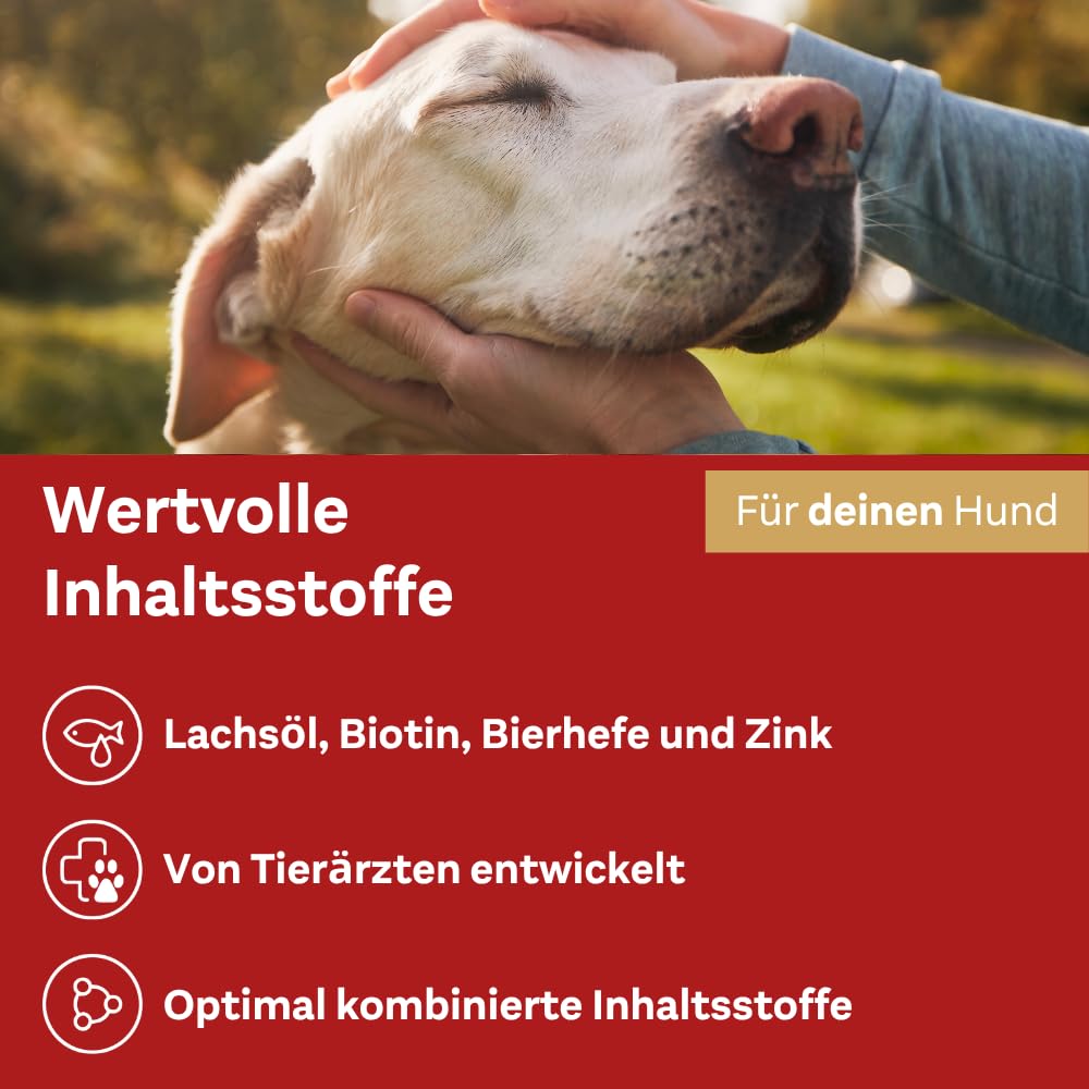 Doppelherz für Tiere Haut und Fell Complex für Hunde