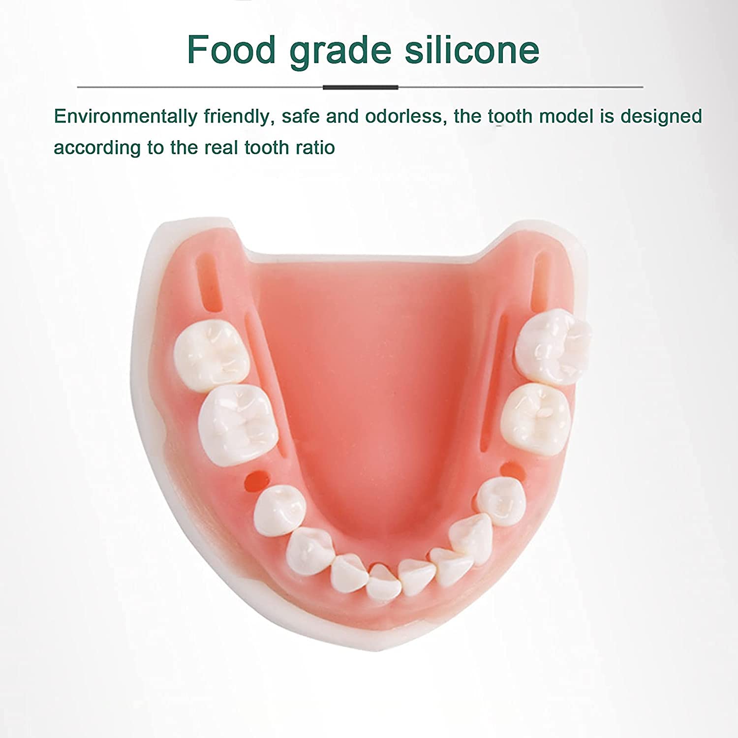 Modello didattico, Kit Modello di sutura Orale simulata, Kit di sutura Dentale Kit di addestramento Chirurgico per sutura cutanea Medica Set di Pratica chirurgica chirurg