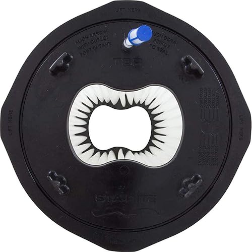 Miniatura 3 de Pentair 27002-0048S Filtro modular para piscina y spa de Sta-Rite System 2