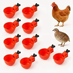 Kit 10 Bebedouros Automáticos P/Aves Galinha Pato Codorna