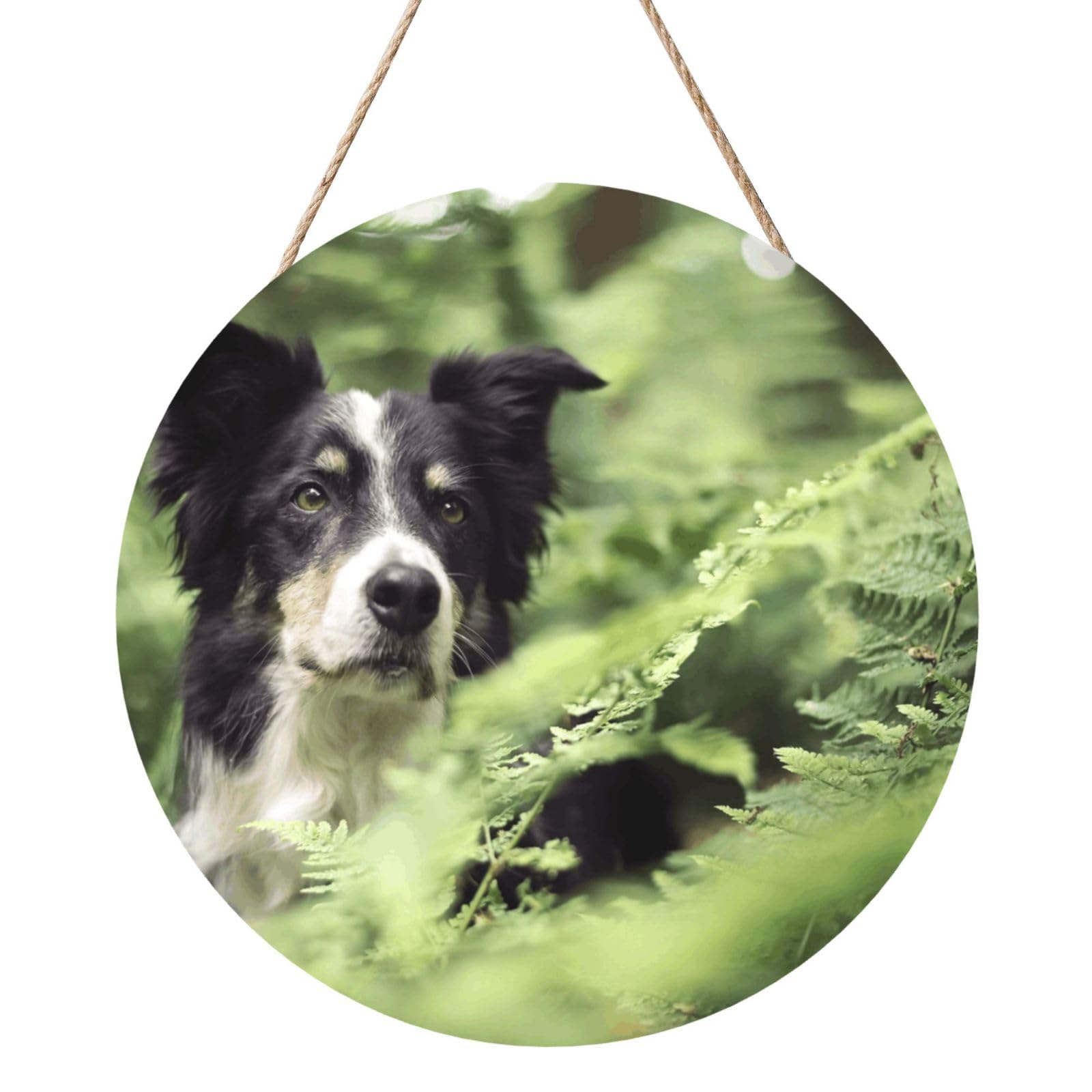 InOmak Border Collie Dogs Bokeh Pets Black White, Round Wood Panel Painting 12 in, Wall Hanging Painting For Home