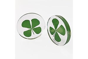 Unveiling Fortune: 2Pcs of Genuine Four-Leaf Clovers in Transparent Encasements
