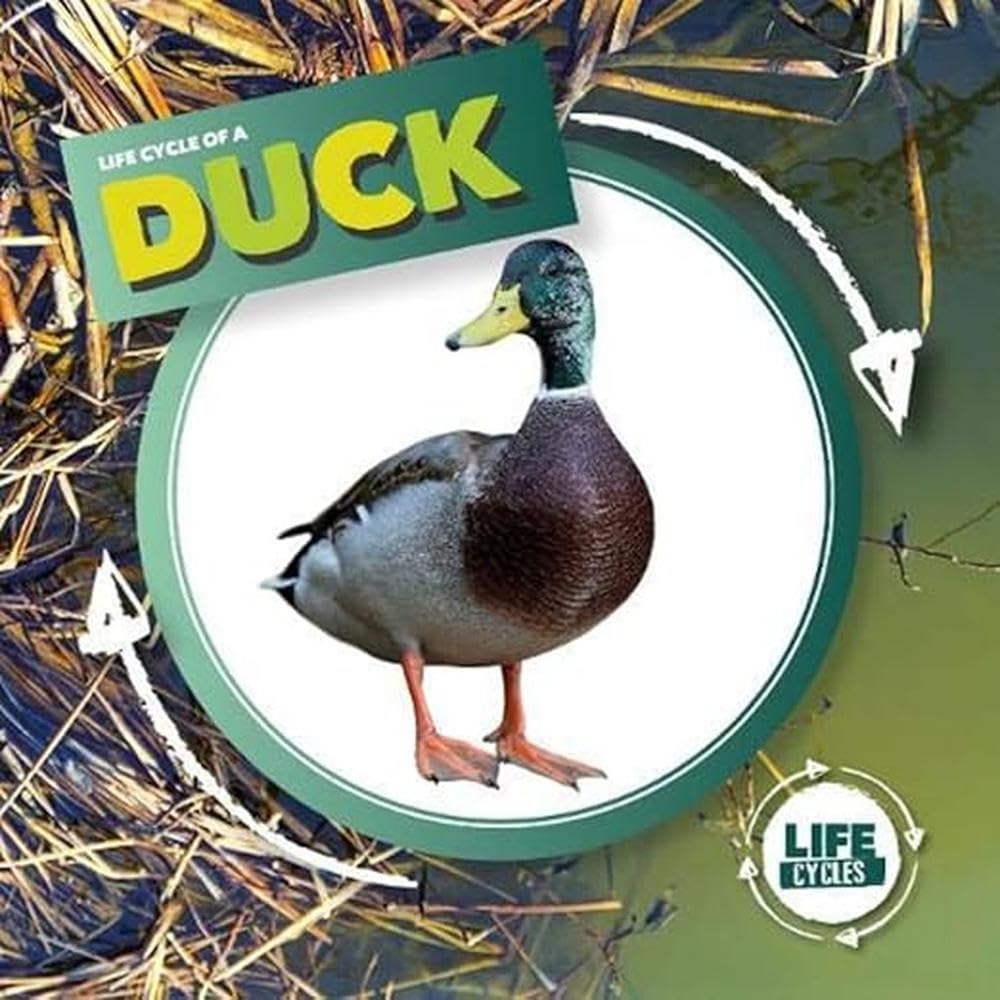 Duck by Kirsty Holmes HARDBACK 9781786379399
