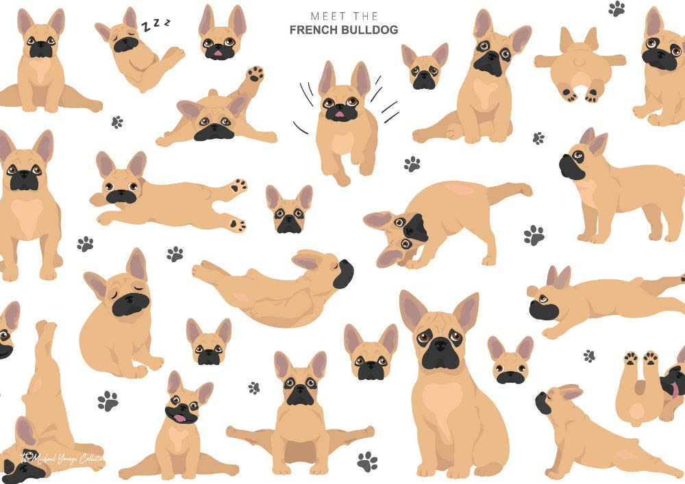 Poster métal Bouledogue Français rigide pour éviter les déchirures