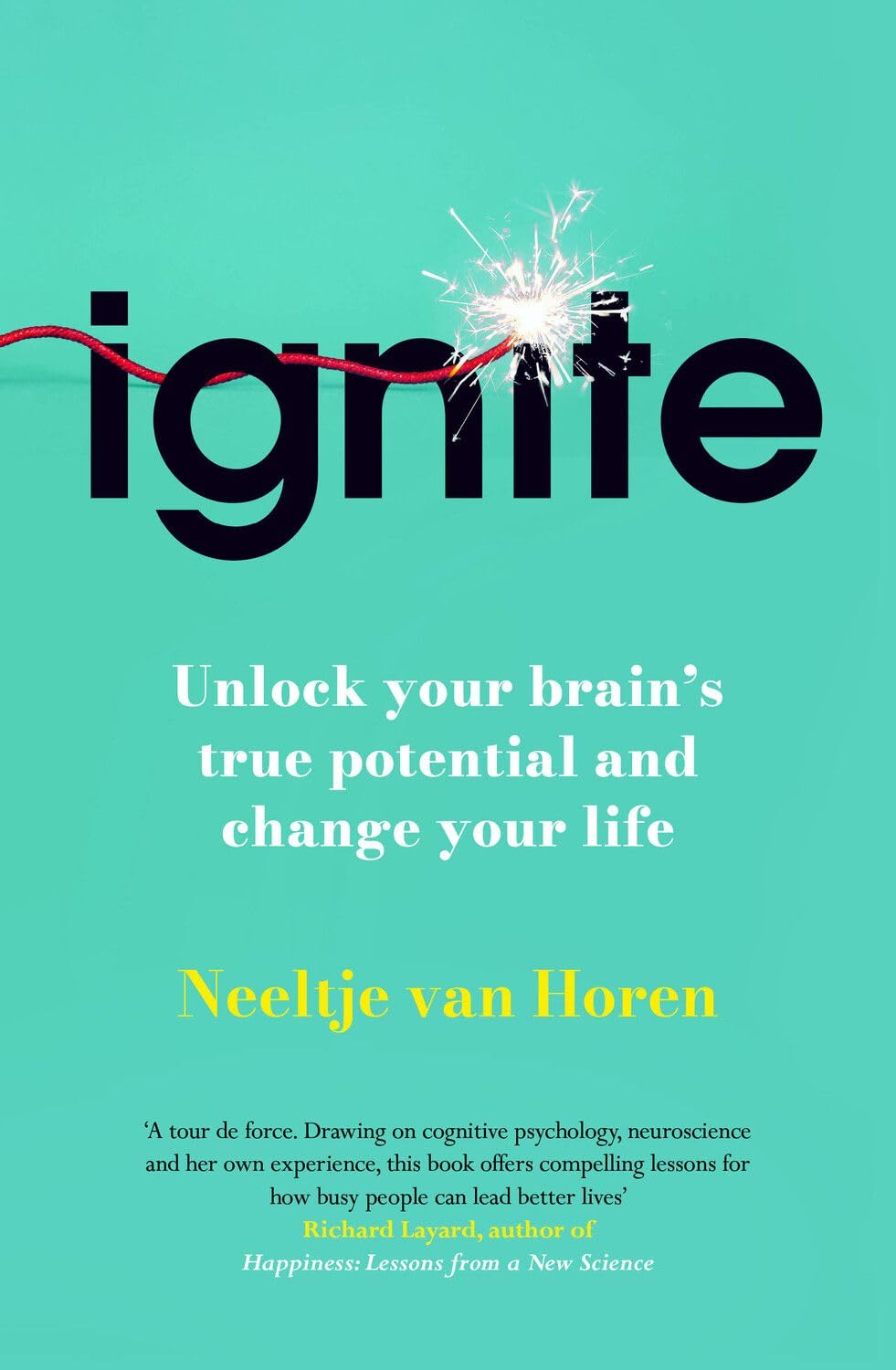 Ignite by Neeltje van Horen HARDBACK 9781835010754