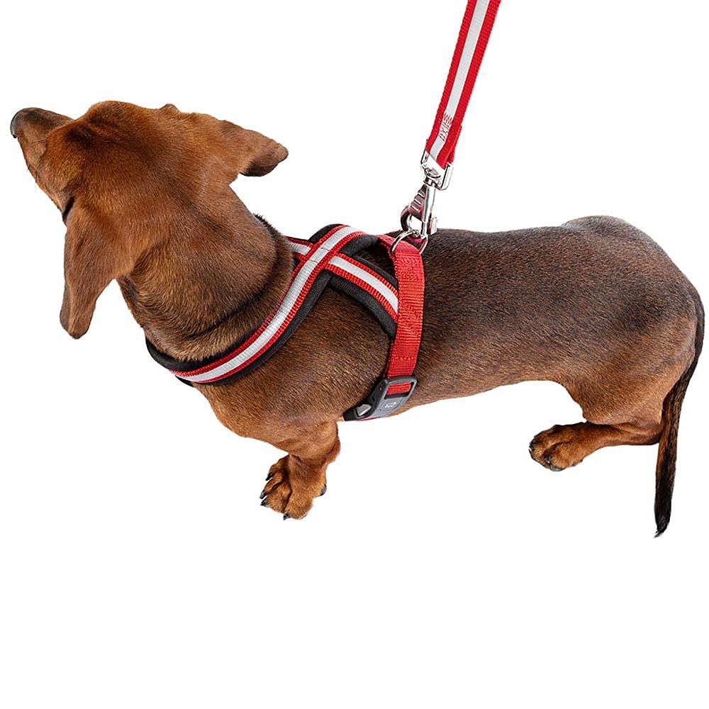 Ferplast Dog Harness DAYTONA CROSS, Small Dog Harness in Nylon, Padded, Reflective and Adjustable. With Magnetic Buckle. Black - Image 3