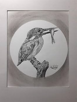 Amazon | 鉛筆画 カワセミ | 鉛筆 | 文房具・オフィス用品