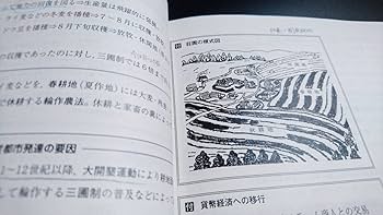 Amazon.co.jp: 駿台 18年度 渡辺幹雄先生 東大世界史テスト演習