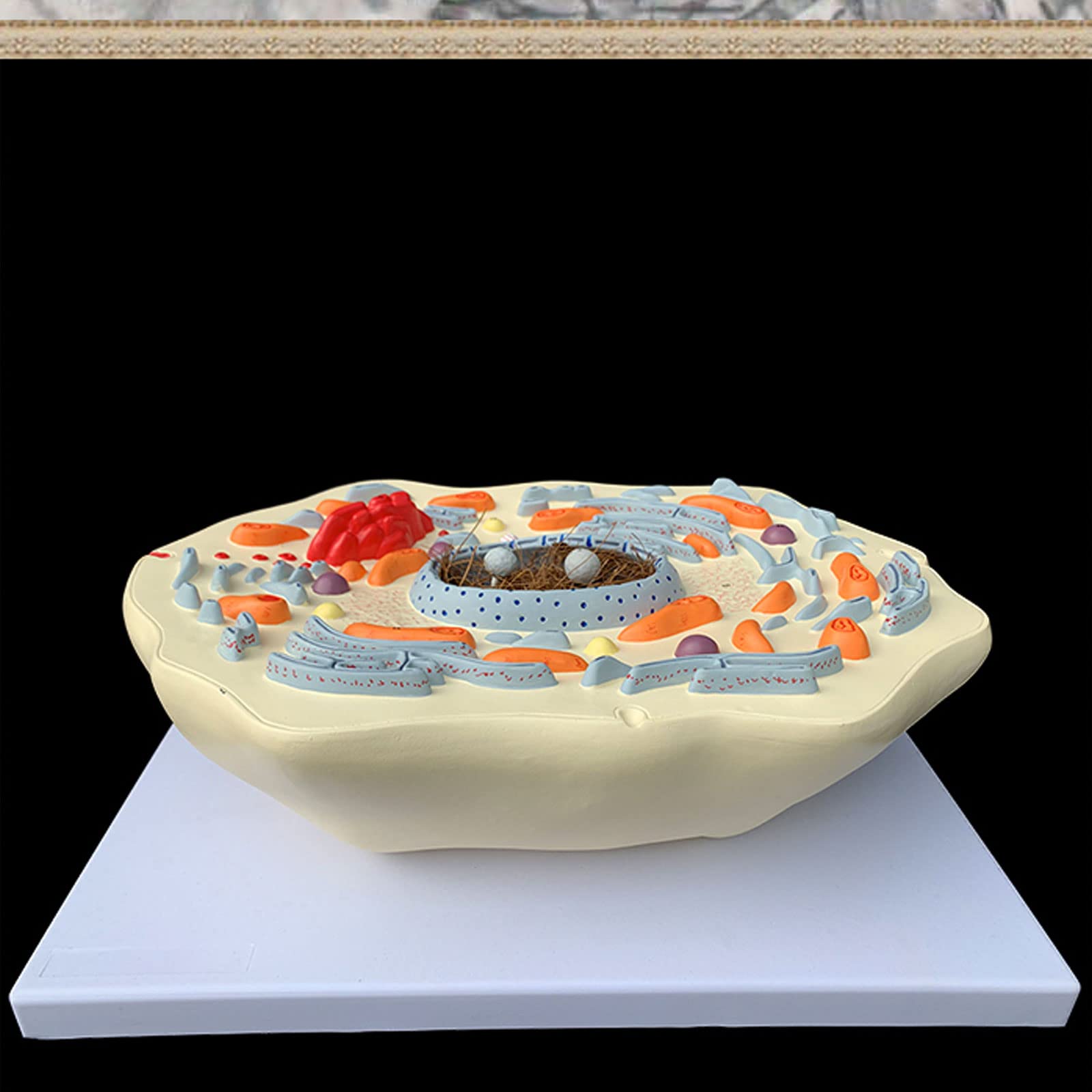 Modèle de Structure sous-microscopique de cellules animales hôpital biologie école Aides pédagogiques étudiant Apprentissage modèle de démonstration