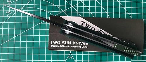 Miniatura 7 de Twosun Cuchillo plegable con cuchilla N690 Micarta/420 mango de acero llano Borde Liner Lock Knife TS506-N690