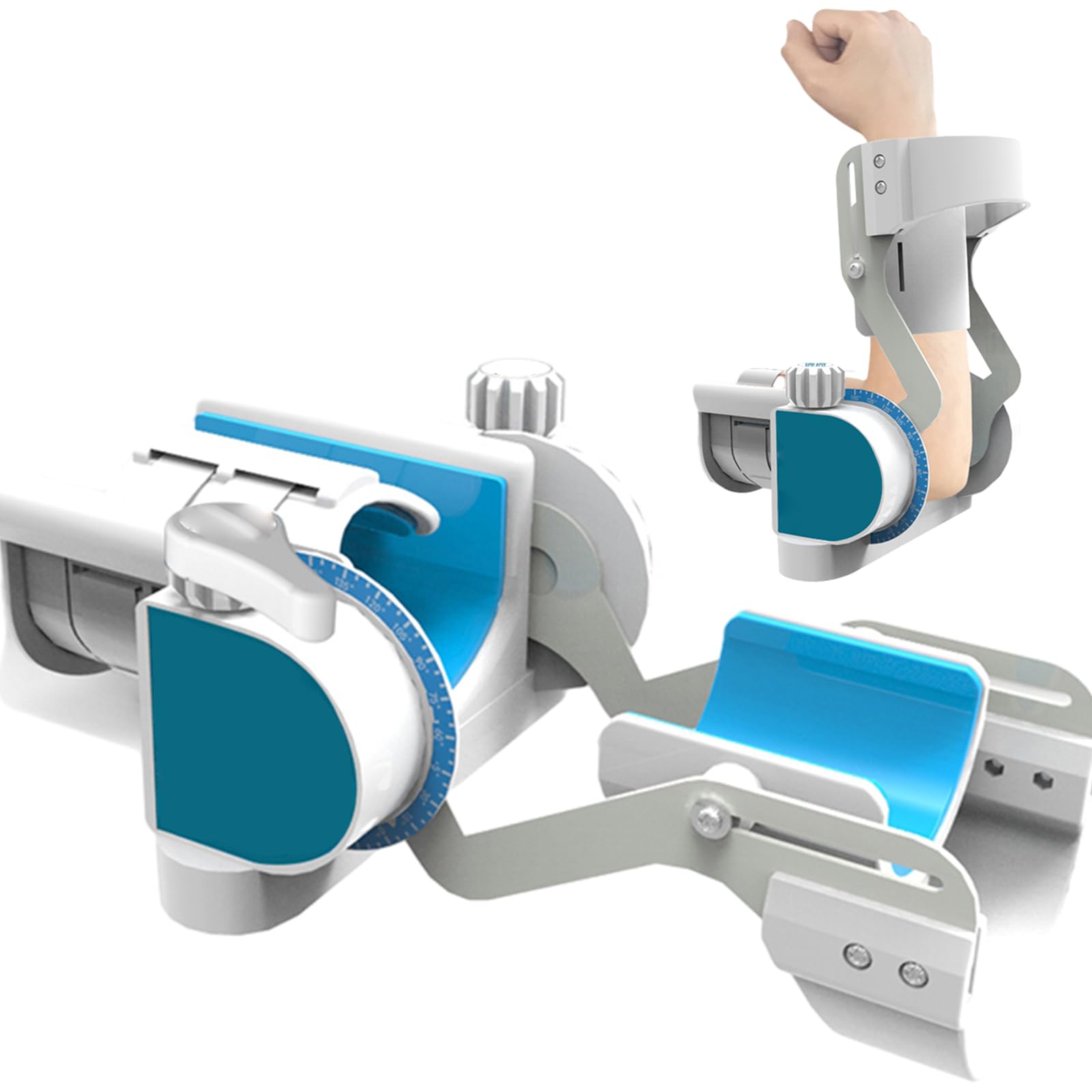 Extension And Flexion Of Arm