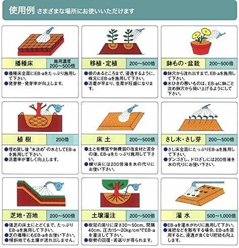 Amazon Eb A 1リットル 土壌改良材 用土 Amazon Eb A 1リットル 土壌改良材 用土