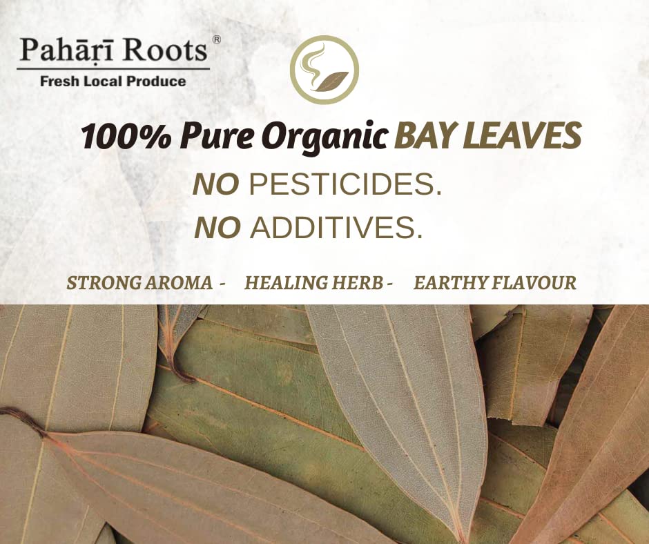 Pahari Roots Bay Leaf from Meghalaya (Tej/Tez patta) (40gx2) 80gm | Pure and Sorted Whole Leaves| INDIAN WHOLE SPICES - KHADA MASALA - TADKA SPICES - Image 5 thumbnail
