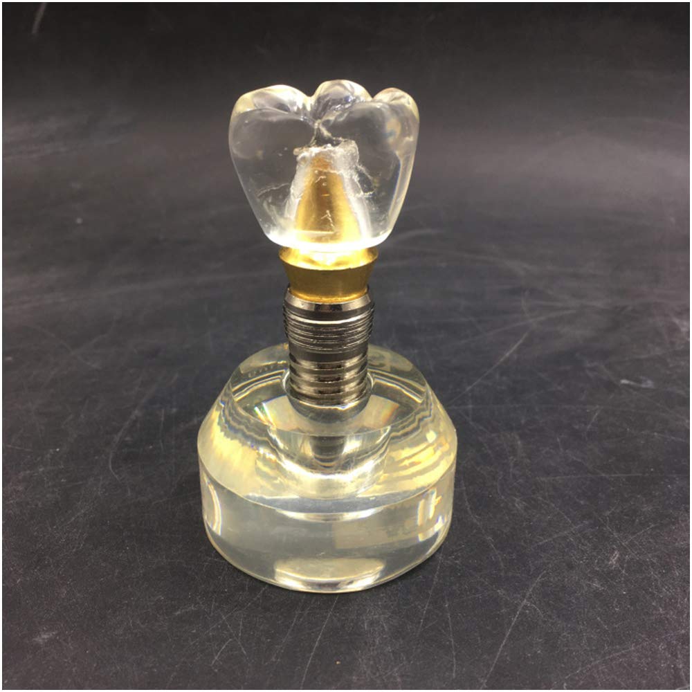 Sjdopulse A Dental Teeth Study Teaching Model - Removable Crystal Planting Teeth Model - Teeth Teaching Model Implant Nail Model - Doctor-Patient Communication Teeth Model - For Study Teaching (A)