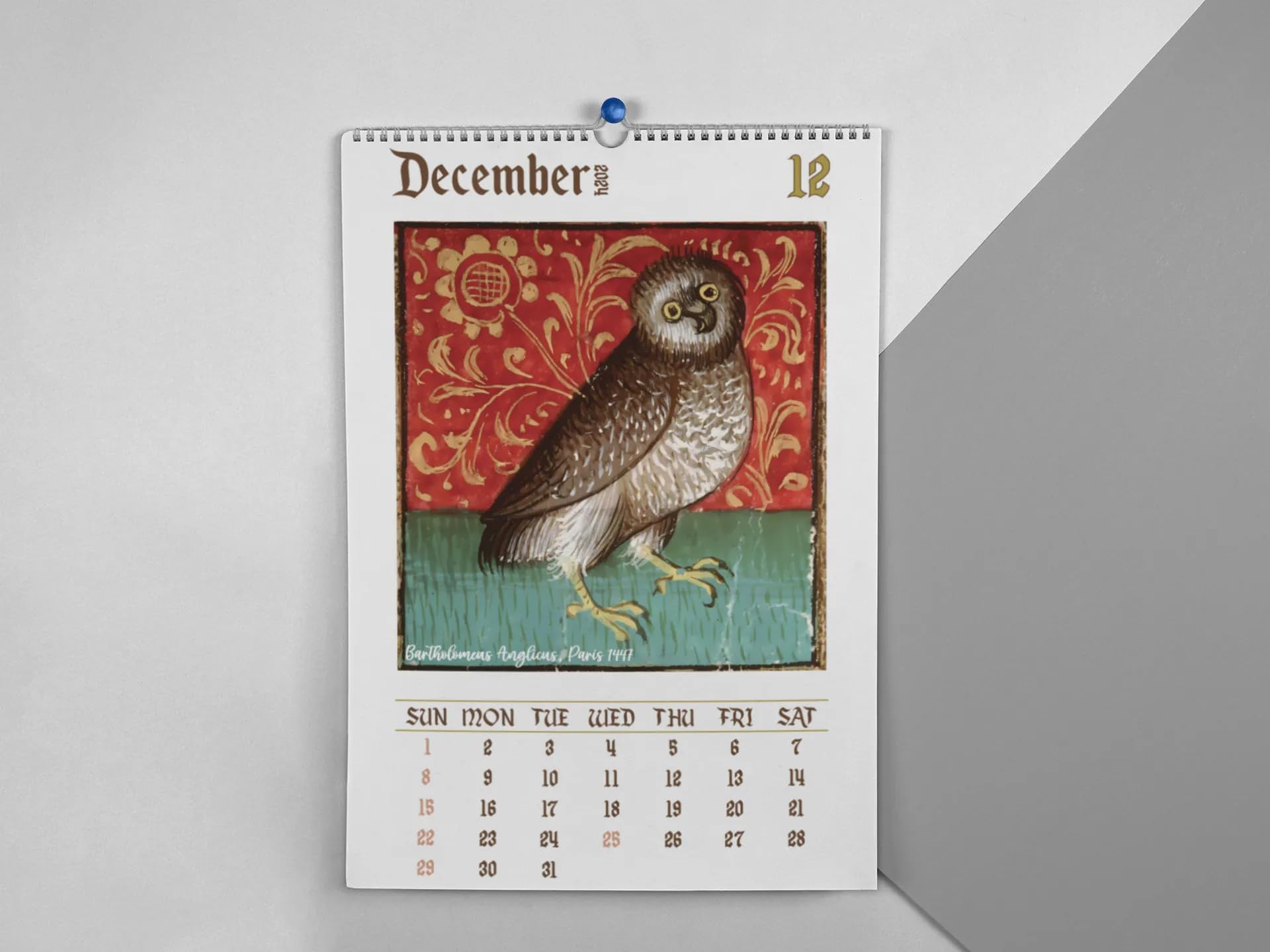 amazon-com-2025-weird-medieval-owl-calendar-funny-owl-wall-calendar-monthly-hanging-giftable-thick-paper-calendars-for-office-home-11-8-5-inches-2-pc-office-products