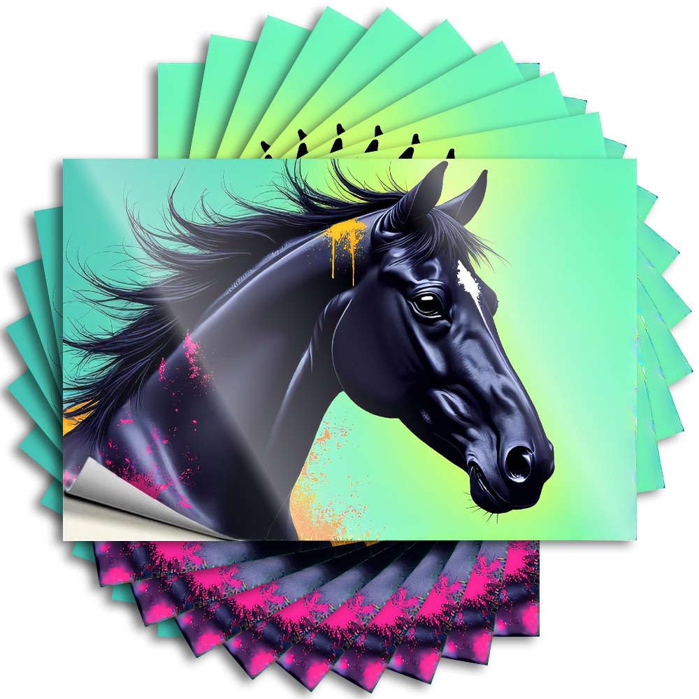 A Black Horse with Vibrant Colors. Tattoos Tiki Bar Accessories | Coastal Bumper Removable Decal Pack(6X9CM)