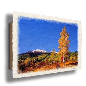 Amazon.co.jp: 風景画 絵画 インテリア アートパネル 風水 絵