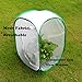 Qingo Collapsible Insect and Butterfly Kit Garden Growing Habitat cage Terrarium Pop up Open - 23.6 Inches Tall (Rectangle)