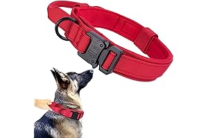 Red Dog Collar for Medium Dogs: Your Tactical Dog Collar Solution