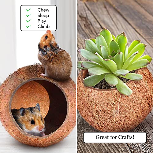 Image of SunGrow Coconut Shell House for Gecko, Snake & Ball Python, Raw Coco Husk, Pet Hiding House, Climber or Chew Toy, for Reptiles, Amphibians (Coco Bowl)