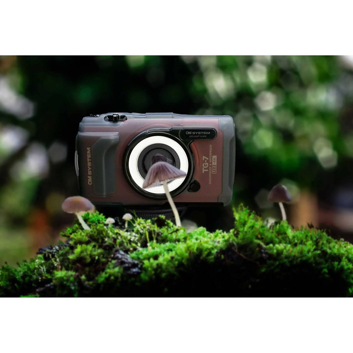 Amazon.com: OM SYSTEM Olympus LG-1 Light Guide for TG-Series