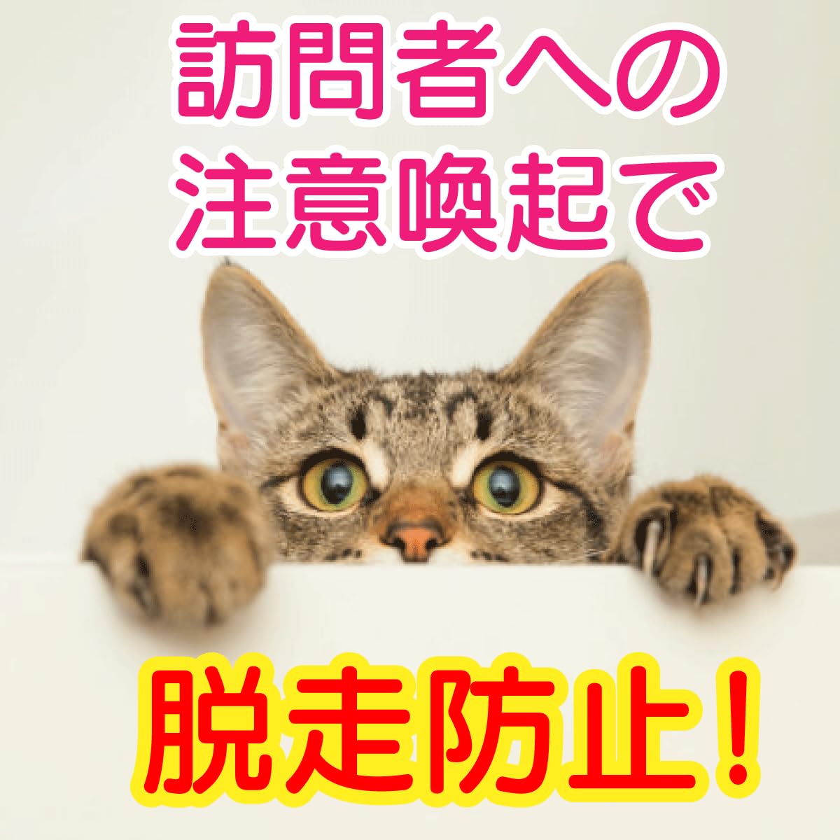 逃げるネコ Amazon.co.jp: 猫 猫脱走防止 玄関 扉 ドア ステッカー 逃げる気