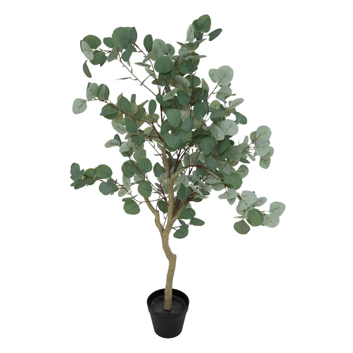 Atmosphera - Eucalipto Artificial cony Maceta Negra h127cm