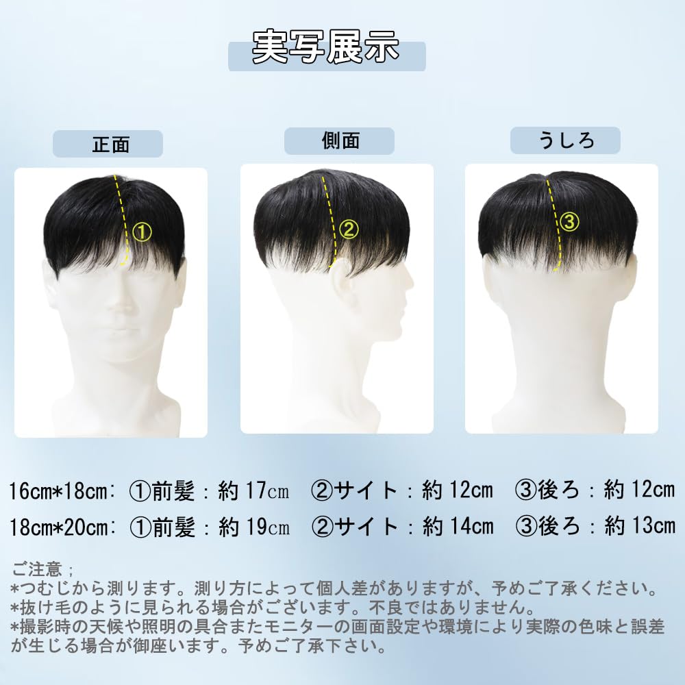 Amazon.co.jp: 部分ウィッグメンズ 人毛100 手植え ポイントウィッグ