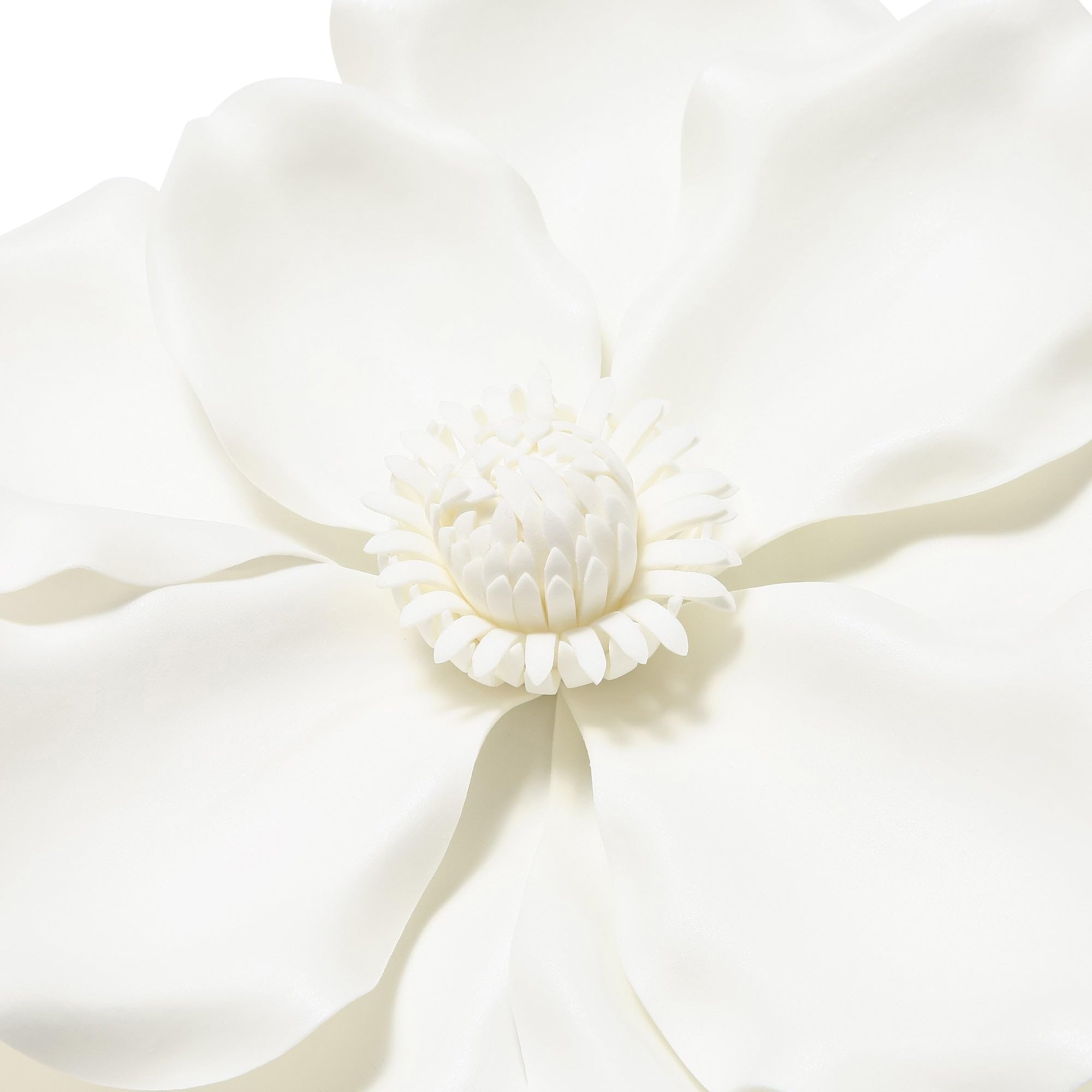 Amazon.co.jp: Francfranc フランフラン ウォールフラワー マグノリア