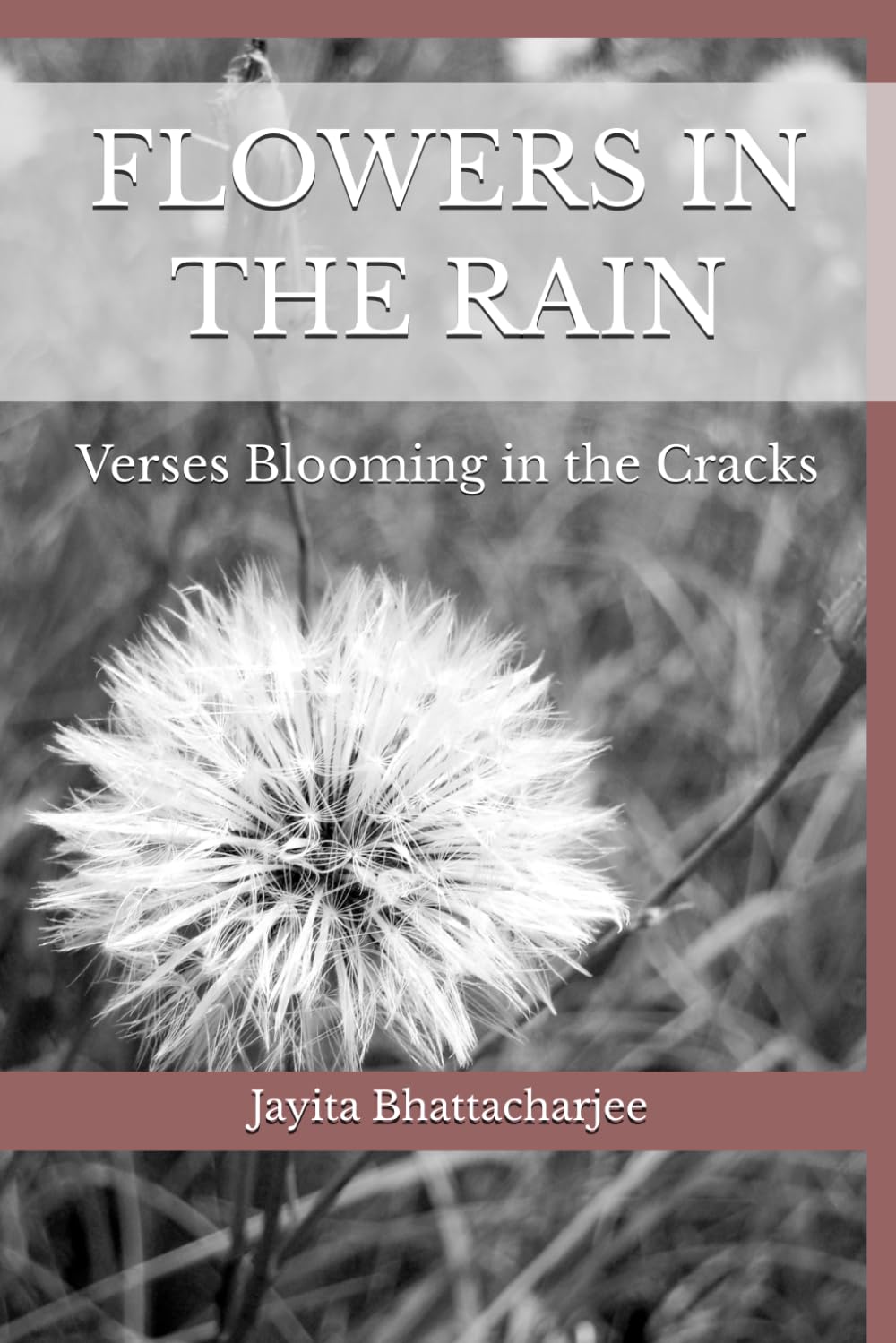 Flowers in the Rain: Verses Blooming in the Cracks---A Coffee table Book with Illustrations