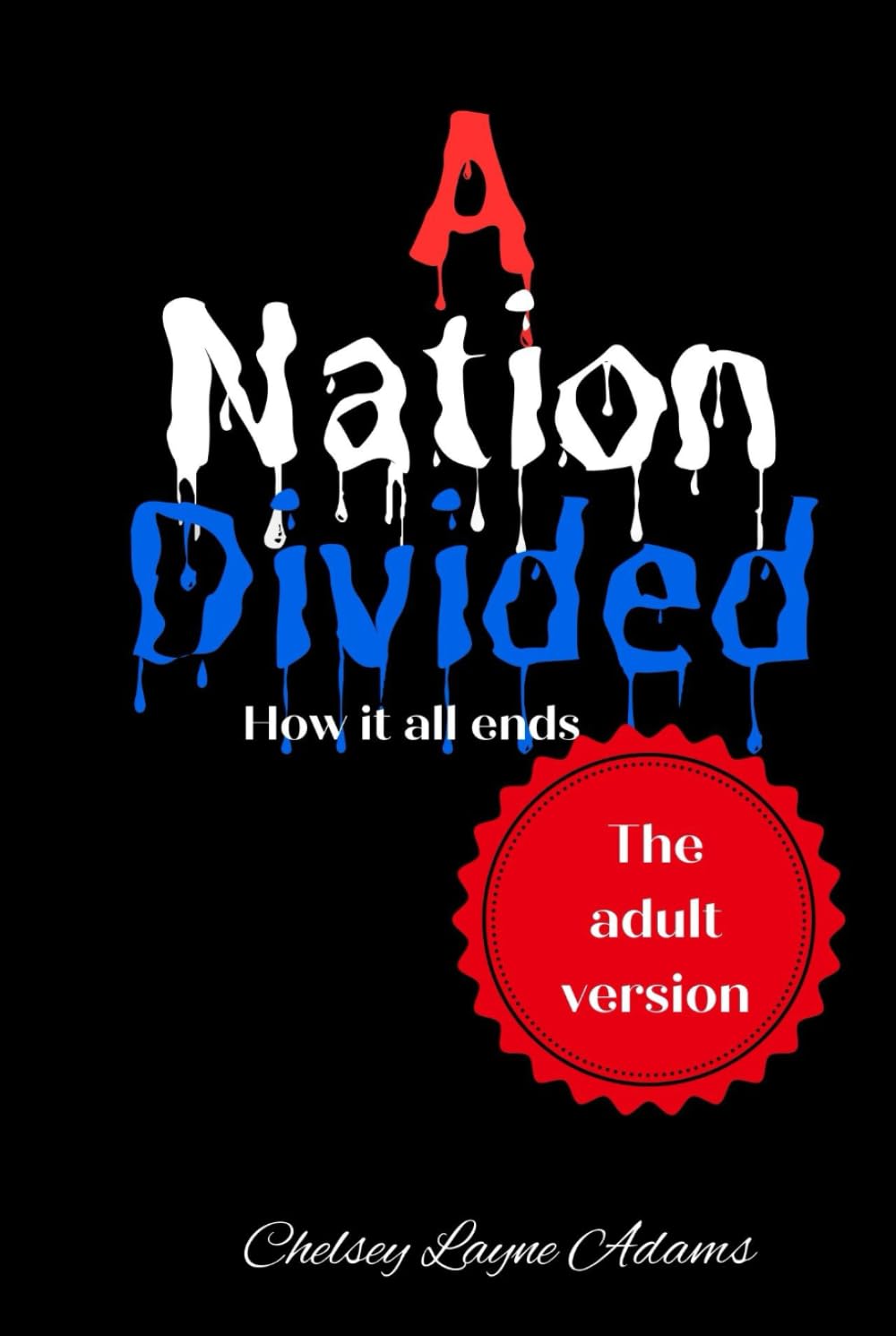 A Nation Divided: How it all ends