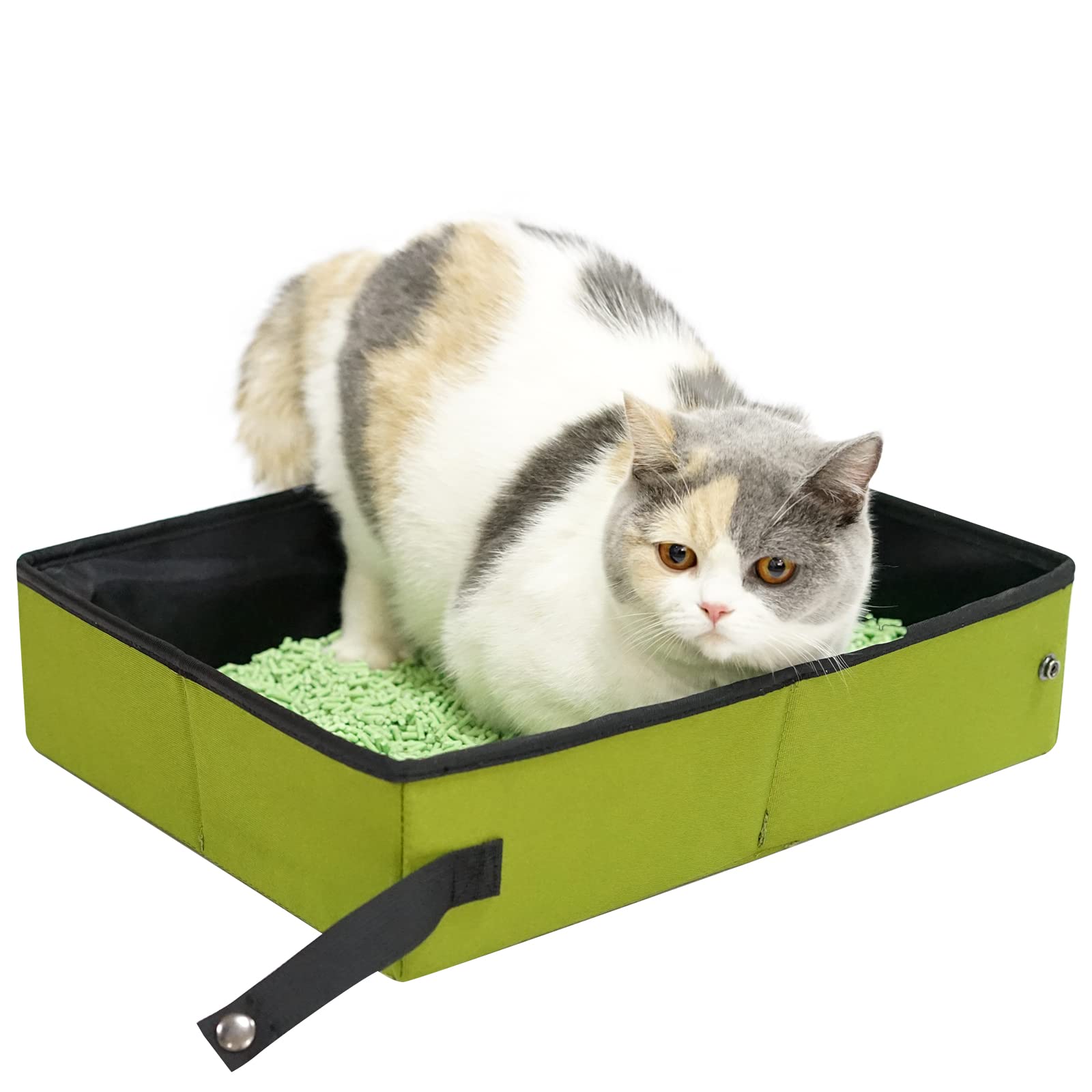 ELS PET Collapsible Portable Cat Litter Box,Travel Cat Litter Box Foldable,Light Weight Waterproof Travel Litter Pan,Leak-Proof Cat Litter Box for Small Cats (Green)