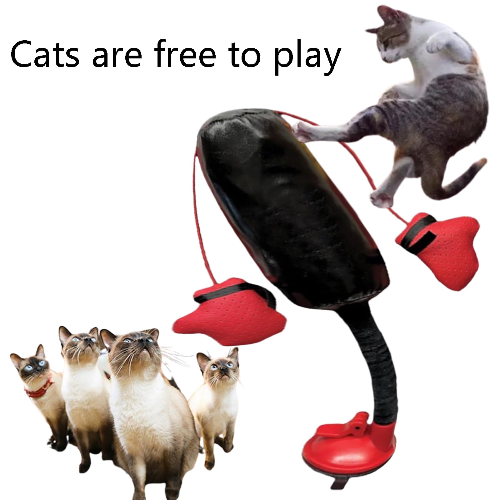 Cat Punching Bag Toy,katzen-boxsack-spielzeug,interactive Toys for Indoor Cats, Interactive Boxing Cat Toy,Kitten Exercise Toy Boxing Gloves,Punching Bag with Gloves Cat Toy,Cat Punching Bag Play Gym Ansicht 3