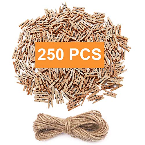 Best Clothespin For Photos