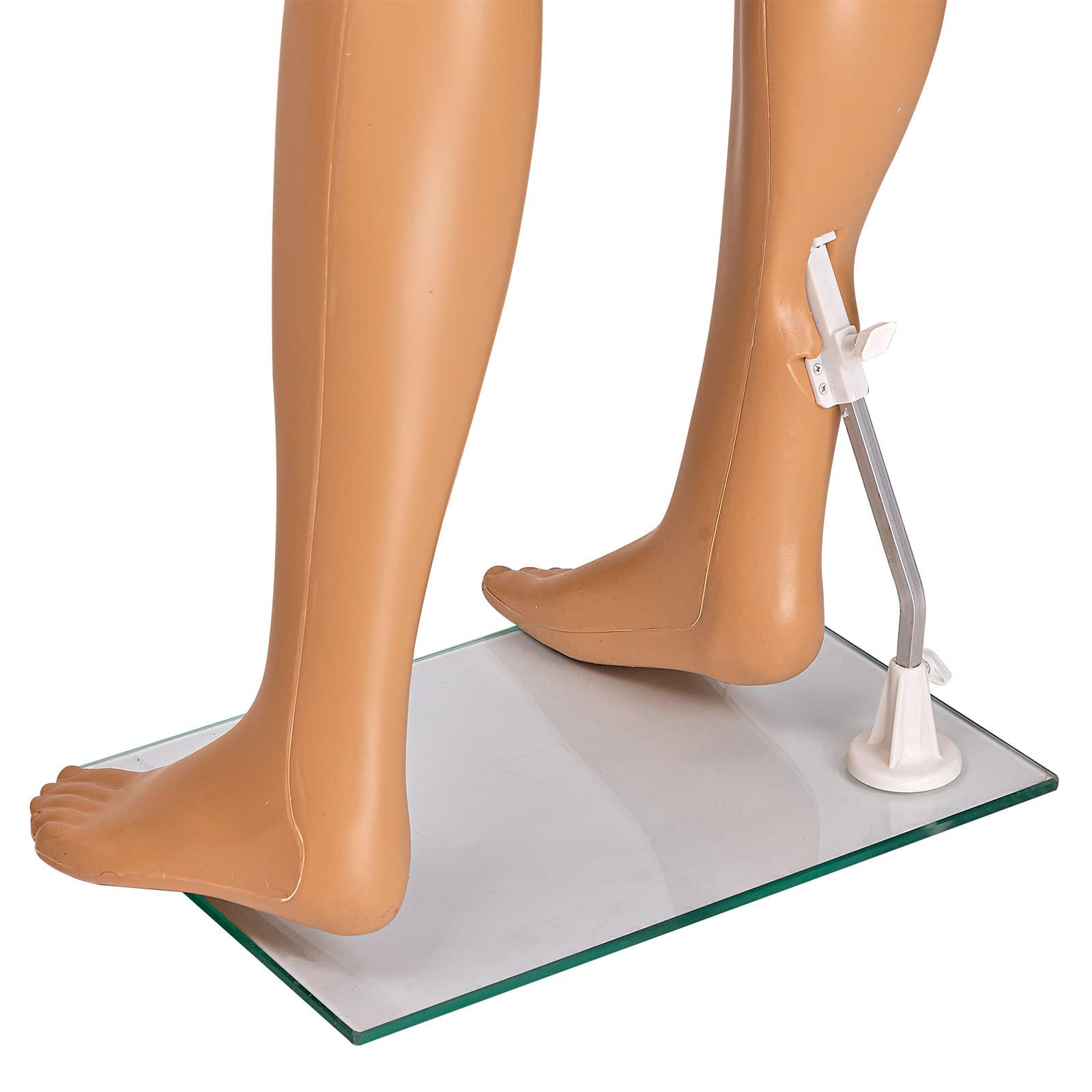 DEMA Schaufensterpuppe männlich 185 cm – Schneiderpuppe, Herrenpuppe, Dekofigur – mit Standplatte, stabil, ideal für Mode, Boutique & Präsentation