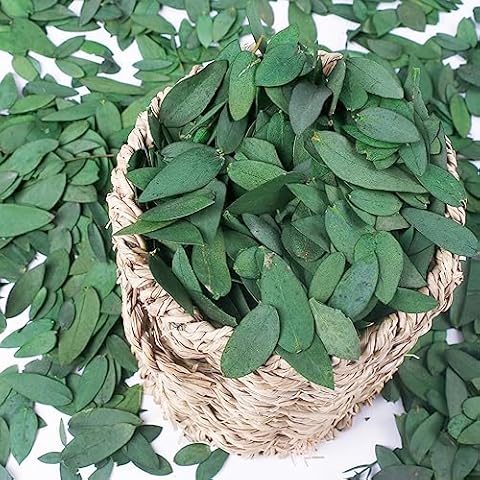 3500+ Small Preserved Real Eucalyptus Leaves - 100% Natural Dried Eucalyptus Bulk, Biodegradable Wedding Fresh Leaves for Anniversaries, Confetti, Flower Girl Petal, Bridal Showers, Party Decor Cover